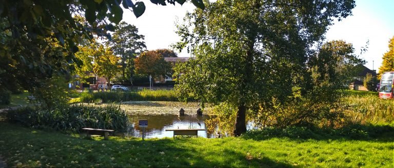 Sanderstead Pond